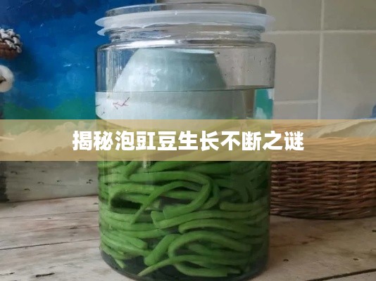 揭秘泡豇豆生长不断之谜