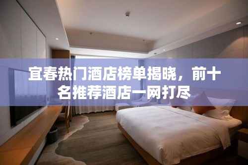 宜春热门酒店榜单揭晓，前十名推荐酒店一网打尽