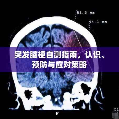 突发脑梗自测指南，认识、预防与应对策略