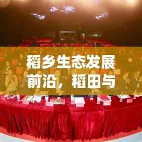 稻乡生态发展前沿，稻田与乡村融合新篇章