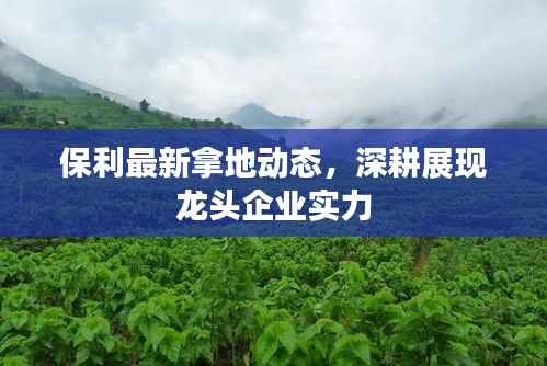 保利最新拿地动态，深耕展现龙头企业实力