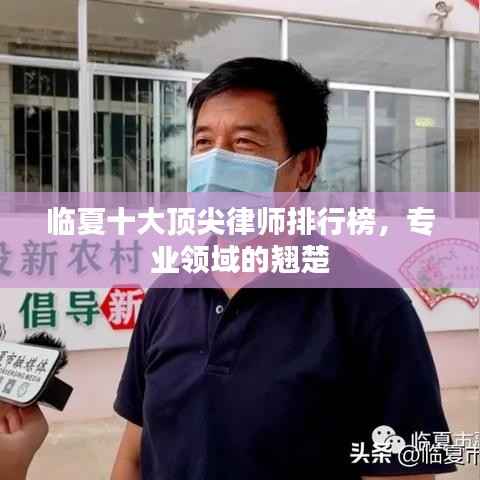 临夏十大顶尖律师排行榜，专业领域的翘楚