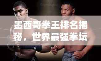 墨西哥拳王排名揭秘，世界最强拳坛霸主地位揭晓
