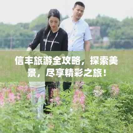 信丰旅游全攻略，探索美景，尽享精彩之旅！