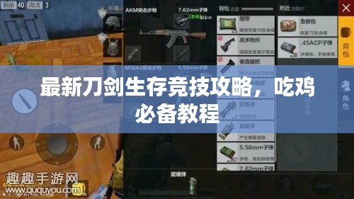 最新刀剑生存竞技攻略，吃鸡必备教程