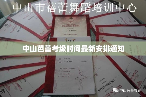 中山芭蕾考级时间最新安排通知