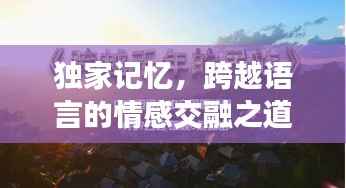 独家记忆，跨越语言的情感交融之道