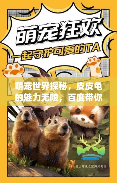 萌宠世界探秘，皮皮龟的魅力无限，百度带你开启萌宠之旅