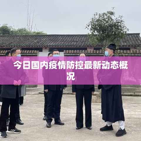 今日国内疫情防控最新动态概况