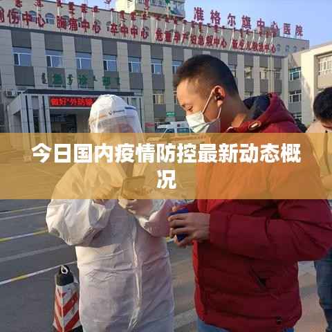 今日国内疫情防控最新动态概况