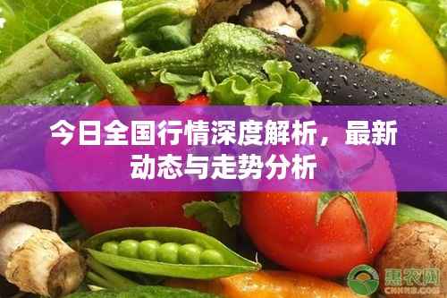 今日全国行情深度解析，最新动态与走势分析