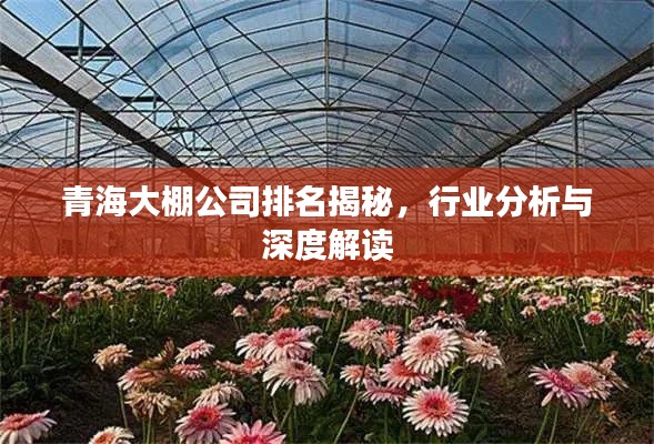 青海大棚公司排名揭秘，行业分析与深度解读