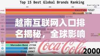 越南互联网入口排名揭秘，全球影响力分析