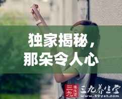 独家揭秘,那朵令人心动的校花,是谁?