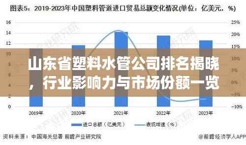 山东省塑料水管公司排名揭晓，行业影响力与市场份额一览