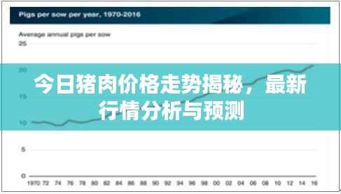 今日猪肉价格走势揭秘，最新行情分析与预测