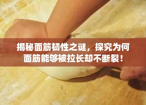 揭秘面筋韧性之谜，探究为何面筋能够被拉长却不断裂！