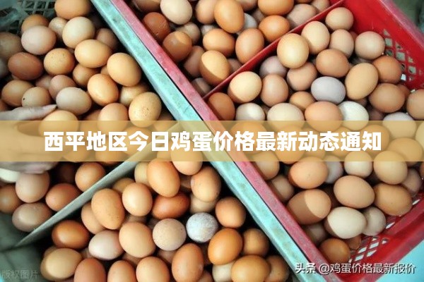 西平地区今日鸡蛋价格最新动态通知