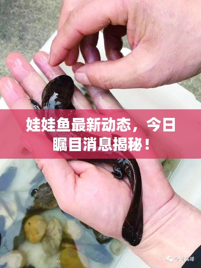 质而不俚 第4页