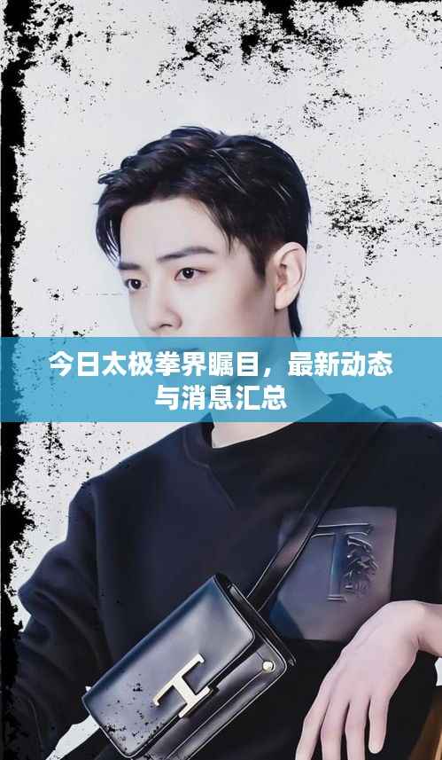 今日太极拳界瞩目，最新动态与消息汇总