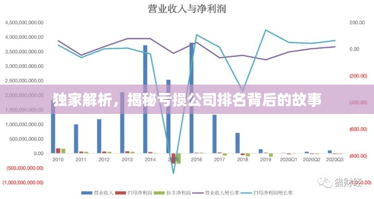 独家解析，揭秘亏损公司排名背后的故事
