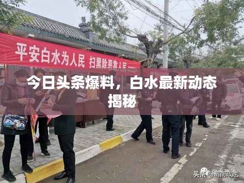 今日头条爆料，白水最新动态揭秘