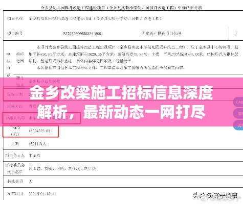 金乡改梁施工招标信息深度解析，最新动态一网打尽