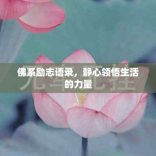 佛系励志语录，静心领悟生活的力量