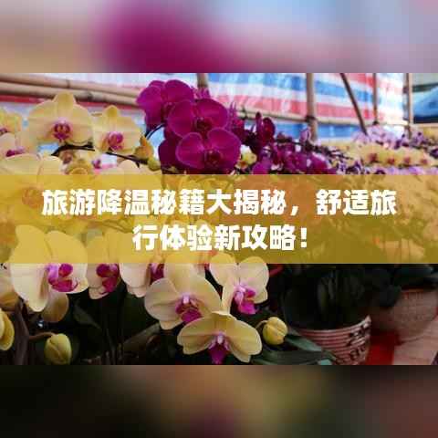 旅游降温秘籍大揭秘，舒适旅行体验新攻略！