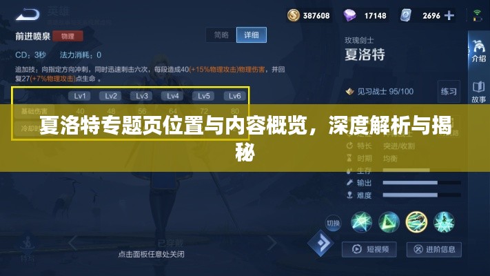 夏洛特专题页位置与内容概览，深度解析与揭秘