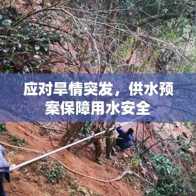 应对旱情突发，供水预案保障用水安全