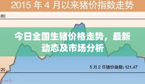 今日全国生猪价格走势，最新动态及市场分析