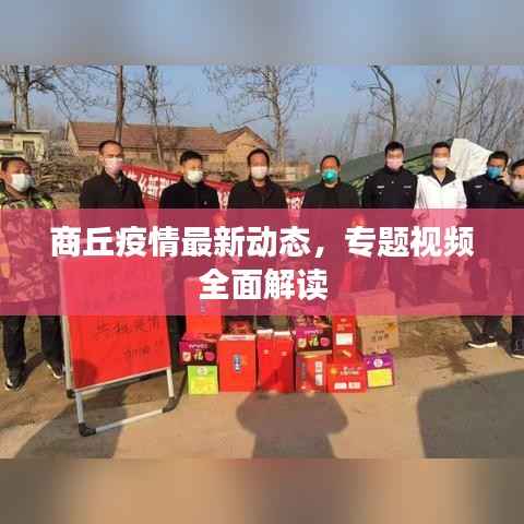 商丘疫情最新动态，专题视频全面解读