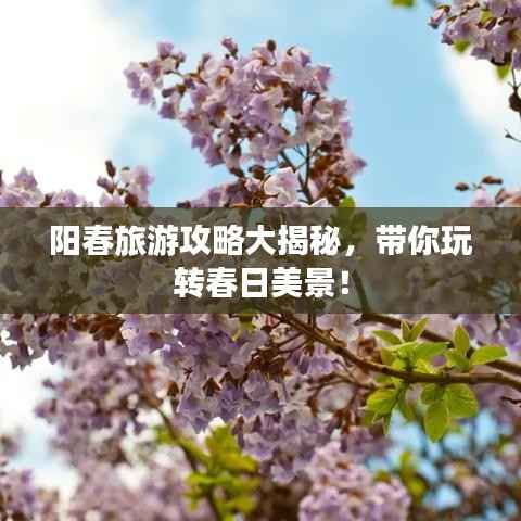 阳春旅游攻略大揭秘，带你玩转春日美景！