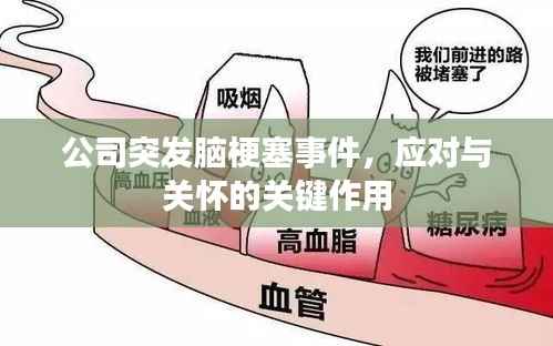 公司突发脑梗塞事件，应对与关怀的关键作用