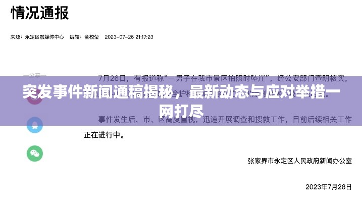 突发事件新闻通稿揭秘，最新动态与应对举措一网打尽