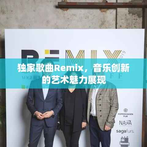 独家歌曲Remix，音乐创新的艺术魅力展现