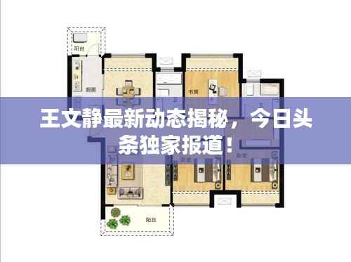 王文静最新动态揭秘，今日头条独家报道！