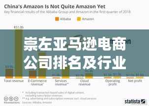 崇左亚马逊电商公司排名及行业影响力揭秘