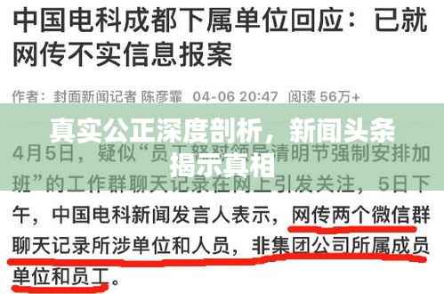 真实公正深度剖析，新闻头条揭示真相