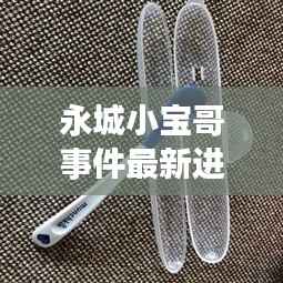 永城小宝哥事件最新进展，揭秘事件内幕，关注最新动态！