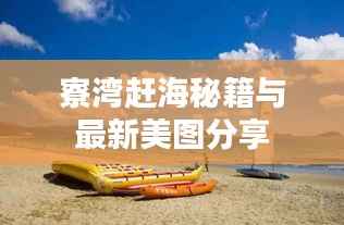 寮湾赶海秘籍与最新美图分享
