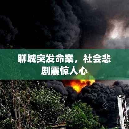 聊城突发命案，社会悲剧震惊人心