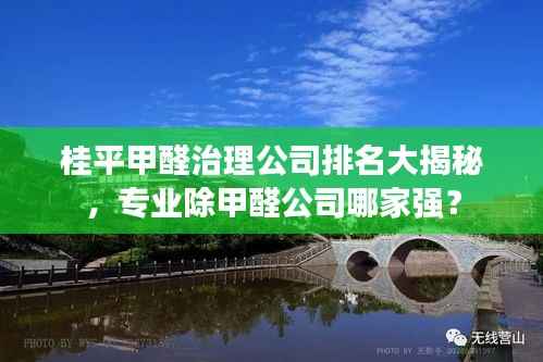 桂平甲醛治理公司排名大揭秘，专业除甲醛公司哪家强？