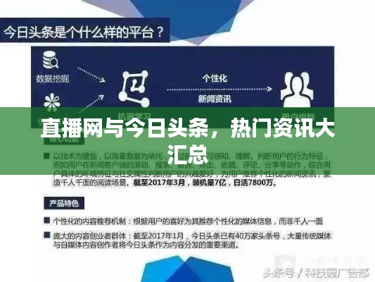 直播网与今日头条，热门资讯大汇总