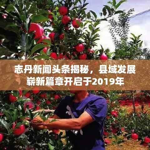 志丹新闻头条揭秘，县域发展崭新篇章开启于2019年