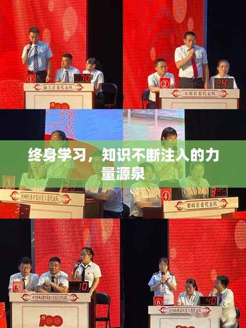 终身学习，知识不断注入的力量源泉