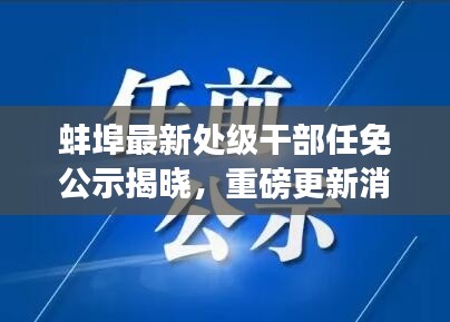 蚌埠最新处级干部任免公示揭晓，重磅更新消息！