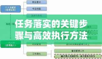 任务落实的关键步骤与高效执行方法