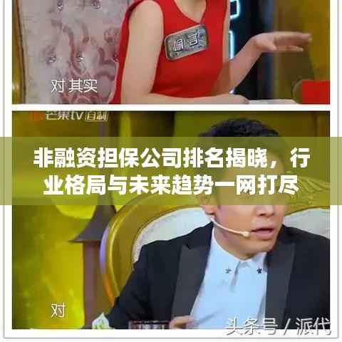 非融资担保公司排名揭晓，行业格局与未来趋势一网打尽